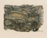 Poissons by Robert Hainard, 1945, color woodcut, sold Jun 2025