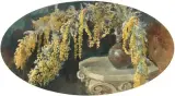 Mimosa by Ignat Bednarik, 1922, watercolor, sold Mar 2025