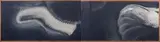 Dawn by An Furuta, Oil on canvas diptych, offered Jul 2015
