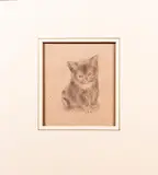 Kitten Study by Vere Temple, Pencil on paper, offered Jun 2015
