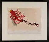 Branch by Isabel Farnsworth, 2011, Ink and gouache., offered May 2015