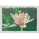 Crystal Lily by Joseph Raffael, 1987, woodcut, sold Jun 2022