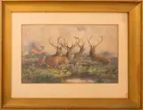 Herd of Elk by Edward Neale, Watercolor on Paper, sold Mar 2024