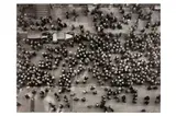 Untitled by Margaret Bourke-White, Silver gelatin print, printed, offered Nov 2023