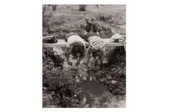 Untitled by Yale Joel, Silver gelatin print, printed, offered Nov 2023