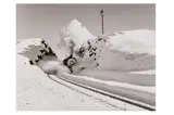 Untitled by John Dominis, Silver gelatin print, printed, offered Nov 2023