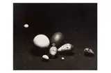 Untitled by Patrick Anson, 5th Earl of Lichfield, Silver gelatin print, image size, offered Nov 2023