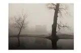 Untitled by Michael Kenna, 1983, print, offered Nov 2023