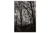 Untitled by George Tice, print, offered Nov 2023