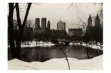 Untitled by George Forss, Silver gelatin print, printed later, image size, offered Nov 2023