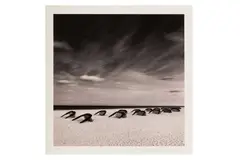 Untitled by Michael Kenna, 1992, Silver gelatin print flush mounted to board, image size, offered Nov 2023