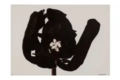 Untitled by Denis Brihat, print, offered Nov 2023