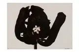 Untitled by Denis Brihat, print, offered Nov 2023