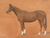 Marigold, study of a horse by F. M. Hollams, Oil on board, sold Aug 2022