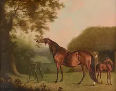 THE BROODMARE PALM FLOWER WITH A FOAL Oil on canvas 39 x 49cm (15¼ x 19¼ in.) Provenance Sir Sitwell Sitwell, 1803 (according to a label on the reverse) by Daniel Clowes, Oil on canvas, sold Aug 2022