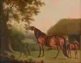 THE BROODMARE PALM FLOWER WITH A FOAL Oil on canvas 39 x 49cm (15¼ x 19¼ in.) Provenance Sir Sitwell Sitwell, 1803 (according to a label on the reverse) by Daniel Clowes, Oil on canvas, sold Aug 2022