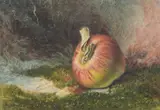 Still life of an apple in a landscape by G MaCdonald Clarke, 1851, Watercolour and bodycolour, offered Aug 2022
