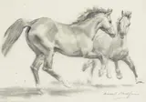 Untitled by Raoul Millais, Pencil and charcoal on tracing paper, sold Aug 2022