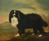 A king charles spaniel in a landscape by George Stubbs, Oil on canvas, sold May 2022