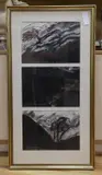 Some trees grow where nothing can by Adrian J. Hemming, drawing, sold Apr 2023