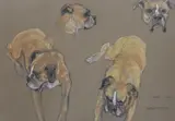 Cindy by Jean Parry-Williams, 1975, pastel, sold Apr 2023