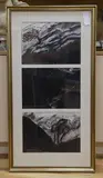 Some trees grow where nothing can by Adrian J. Hemming, drawing, sold Mar 2023