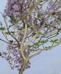 Jacaranda in full blossomwatercolour on incised marine by Cressida Campbell, watercolour, sold Mar 2023