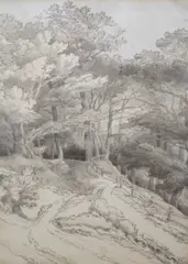 Fordland by John White Abbott, ink and monochrome, sold Mar 2023
