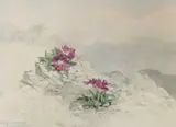 Primula Wulfeniana by Frank Galsworthy, 1934, watercolour, offered Mar 2023