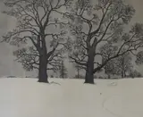 Winter Trees by Francis Robert Kelly, etching, sold Mar 2023