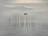 Chinese fishing boat beyond the reeds, 24x32ins by Ronald Wong, acrylic on canvas, sold May 2023