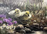 Untitled by Willem Sternberg de Beer, oil on canvas, sold Apr 2023