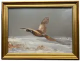 A ring-necked pheasant in flight across a winter landscape by James J. Allen, gouache on board, sold Apr 2023