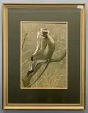 Black Faced Vervet by Noel William Cusa, watercolour, sold Apr 2023