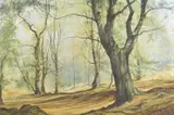 BRITISH The Beech Tree, a Woodland Slope, Autumn, Odiham Wood Signed by Mervyn Goode, Wood, sold Feb 2025