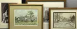 Cow Parsley by Audrey Hind limited edition colour print, print, offered Apr 2023