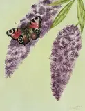 Untitled by Julie Cuddihy, mixed media, offered Apr 2023