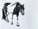 Blackberry by Warren S Heaton, print, offered Apr 2023