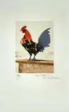 Artist proof coloured print - standing cockerel by Michael Rothenstein, print, sold Apr 2023