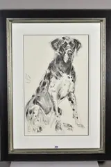 Dopey great dane, front on by April Shepherd, charcoal on paper, sold Mar 2020