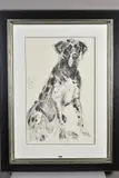 Dopey great dane, front on by April Shepherd, charcoal on paper, sold Mar 2020