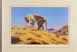 'Arabian Leopard', a limited edition print, 311/550, signed to the by Spencer Hodge, print, sold Feb 2020