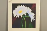 'Happy and Bashful', a limited edition print, 11/195, of daisy's, by Nancy Wood, print, sold Feb 2020