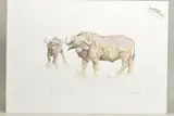 'Buffalo', a limited edition print, 122/750, signed lower right, by John Stapley, print, sold Feb 2020