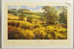 'Afternoon Across The Meadows', a limited edition print, 370-500, a by David Dipnall, print, sold Feb 2020