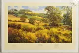 'Afternoon Across The Meadows', a limited edition print, 370-500, a by David Dipnall, print, sold Feb 2020
