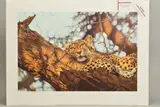 'That Time of Day', a limited edition print, 232/395, a by Lyndsey Selley, print, sold Feb 2020