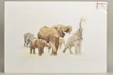 'Elephant', a limited edition print, 22/750, signed lower right, by John Stapley, print, sold Feb 2020