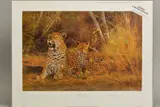 'Leopard and Cub', a limited edition print, 59/350, signed to lower by Kim Donaldson, print, sold Feb 2020