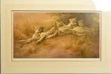 'Built for Speed', a limited edition print of a family of Cheetahs, by Dick van Heerde, print, sold Feb 2020